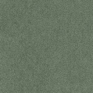 8201_7_additional image_new.jpg image